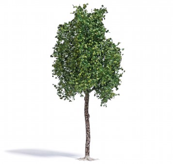 Busch 3792 Platane Sommer 170 mm 