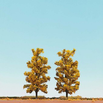 Busch 6754 Laubbäume 150 mm, 2 St. 