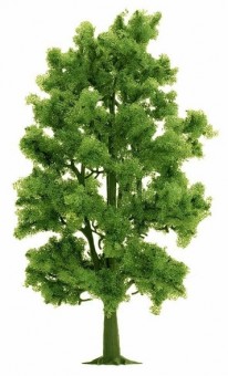 Busch 6779 Buche 210 mm 