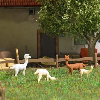 Busch 8870 A-Set: Alpakas m. Jungtier TT 