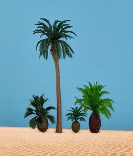 VK Modelle 37007 1 Kokospalme 13 cm, 2 Palmfarne 3 + 4 cm 