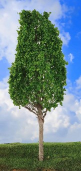 VK Modelle 37024 alte Birke 16 cm 