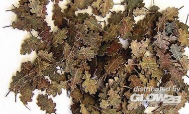 Plusmodel 287 Eichenblätter - extra Farben 