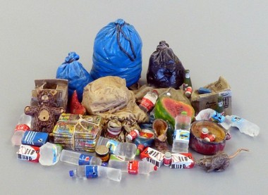 Plusmodel 486 Trash - Müll 