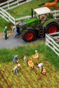 Faller 151659 Auf dem Erdbeerfeld 