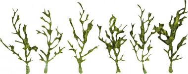 Faller 171839 Rankgewächse, grün 