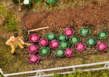 Faller 181263 Weiß- und Rotkohlköpfe 20-tlg 