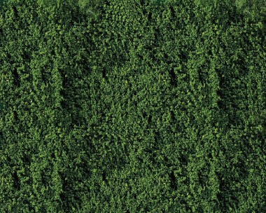 Faller 181391 Belaubungsvlies, dunkelgrün 