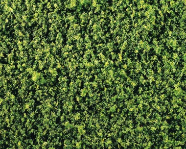 Faller 181392 Belaubungsvlies, mittelgrün 