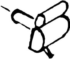 Weinert 9240 Scharfenbergkupplung N 