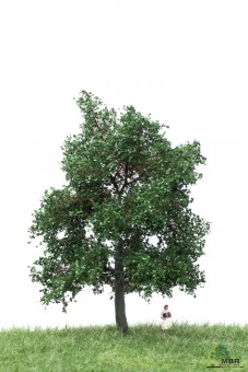 MBR model 51-2203 Eiche 12-16cm 