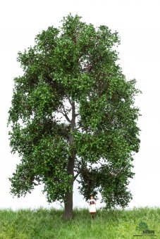 MBR model 51-2302 Buche H0 