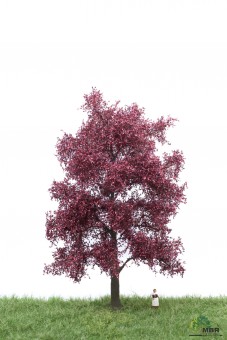 MBR model 51-2314 Blutbuche H0 