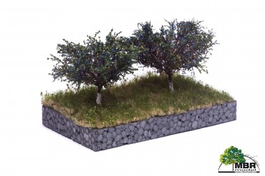 MBR model 51-2317 Pflaumenbaum 7cm 