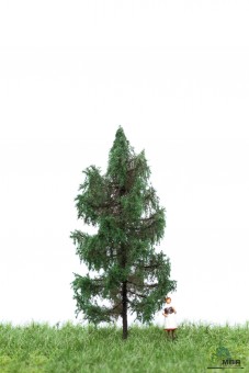 MBR model 51-4106 Fichte N 