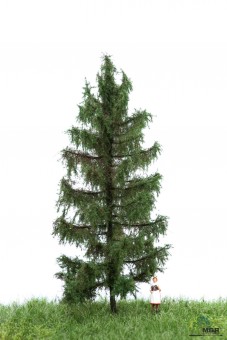 MBR model 51-4303 Europäische Lärche H0 