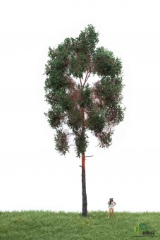 MBR model 51-4404 Waldkiefer 0 