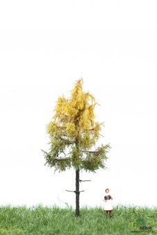 MBR model 52-4102 Europäische Waldlärche 6-10cm 