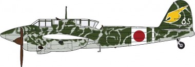 Hasegawa 609095 Kawasaki KI45KAI TEI Toryu (Nick)  